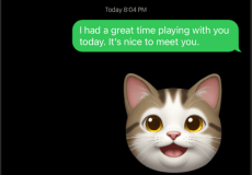 emoji about